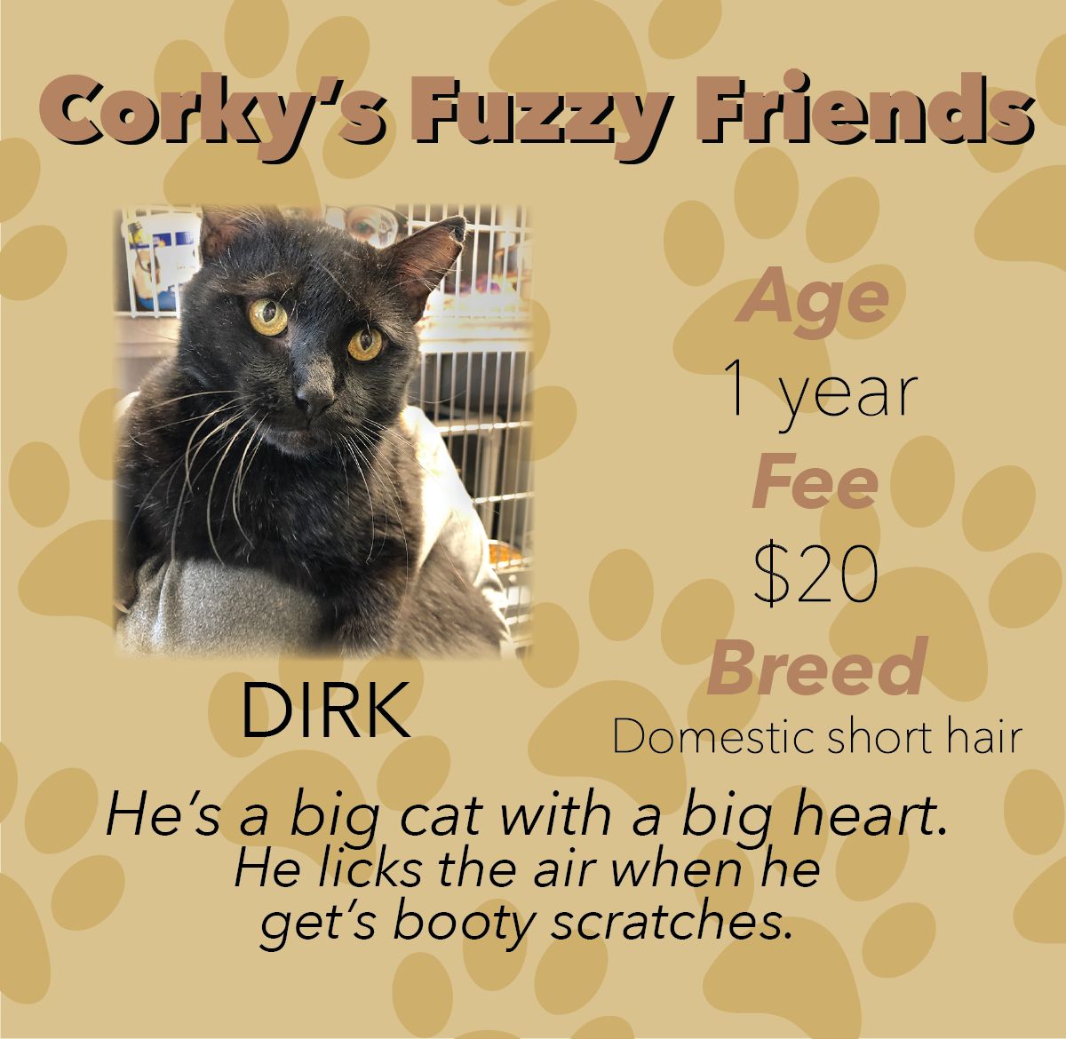 Fuzzy Friends